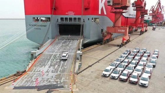 Servicio de envío profesional de China a Malasia por líneas de envío de RORO