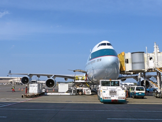 Servicios de transporte de mercancías internacionales de Shenzhen / UPS FEDEX Servicios de carga rápida por aire