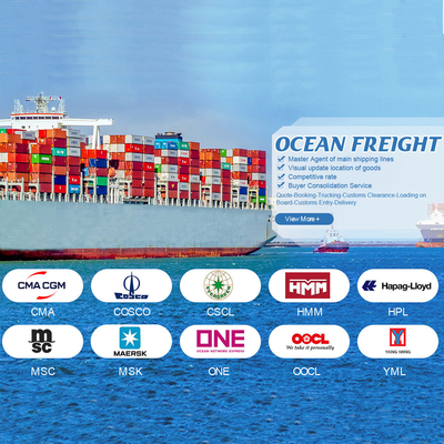 OOG BBK Contenedor de 40 pies Internacional de envío marítimo China a Jordania para carga general