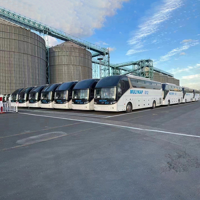 Servicios de envío global de contenedores RORO de la empresa de logística de Shenzhen