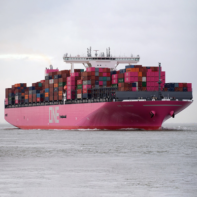 China a Brunei Cargo Servicios internacionales de envío a granel / envío a granel